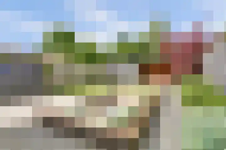 Buorsterwyk 14 Lippenhuizen thumbnail 28