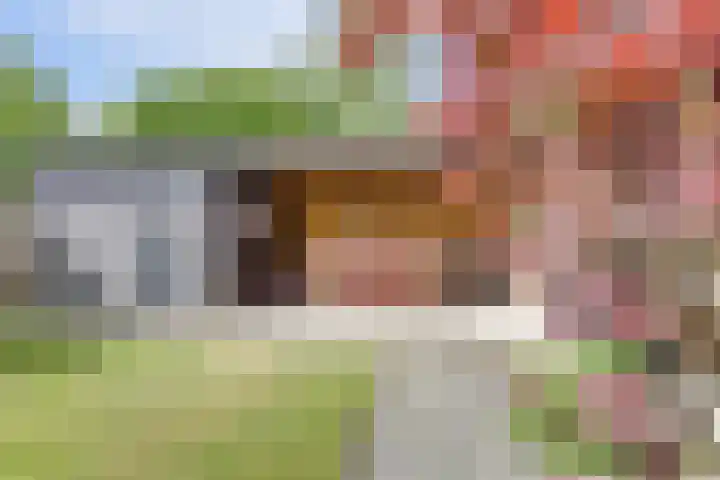 Buorsterwyk 14 Lippenhuizen thumbnail 29