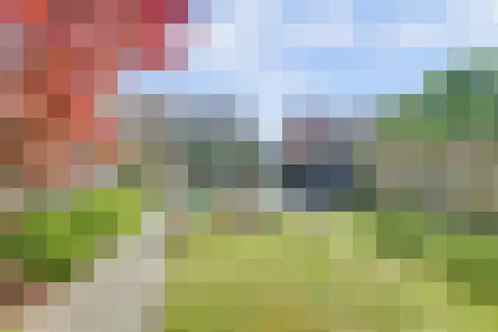 Buorsterwyk 14 Lippenhuizen thumbnail 30