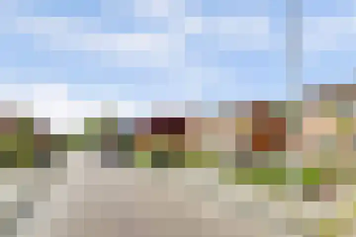 Buorsterwyk 14 Lippenhuizen thumbnail 33