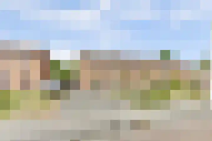 Buorsterwyk 14 Lippenhuizen thumbnail 34