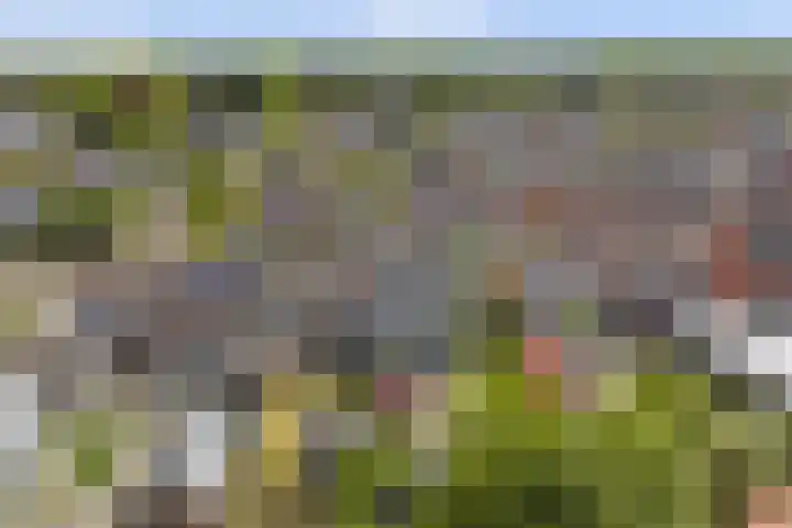 Buorsterwyk 14 Lippenhuizen thumbnail 35