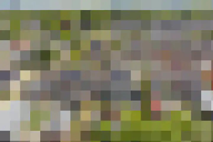 Buorsterwyk 14 Lippenhuizen thumbnail 36