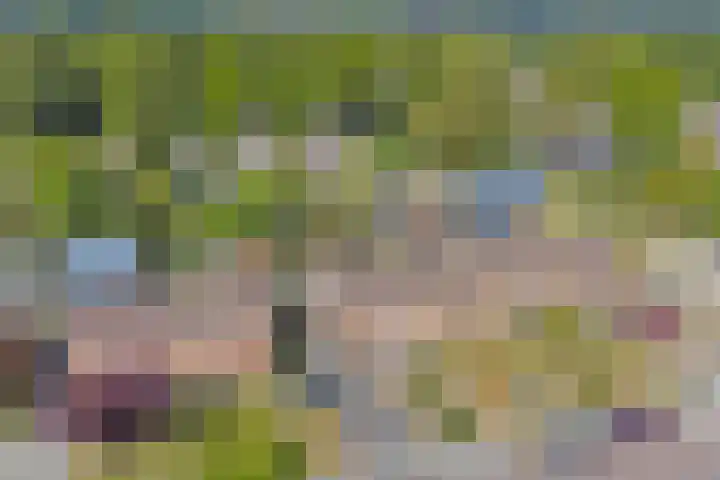 Buorsterwyk 14 Lippenhuizen thumbnail 37