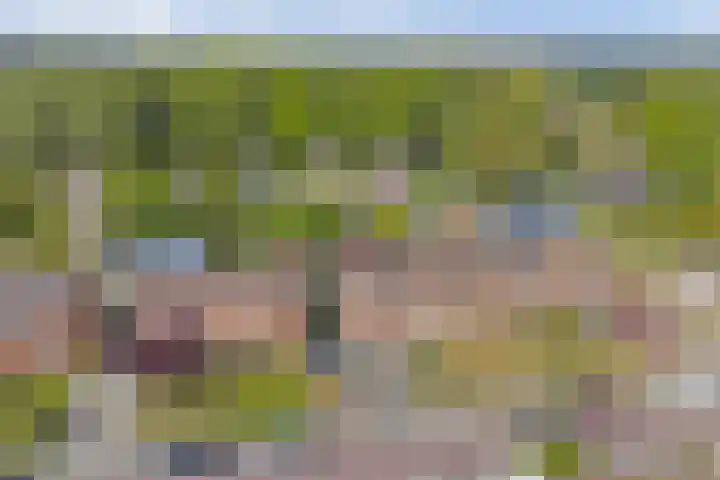 Buorsterwyk 14 Lippenhuizen thumbnail 38