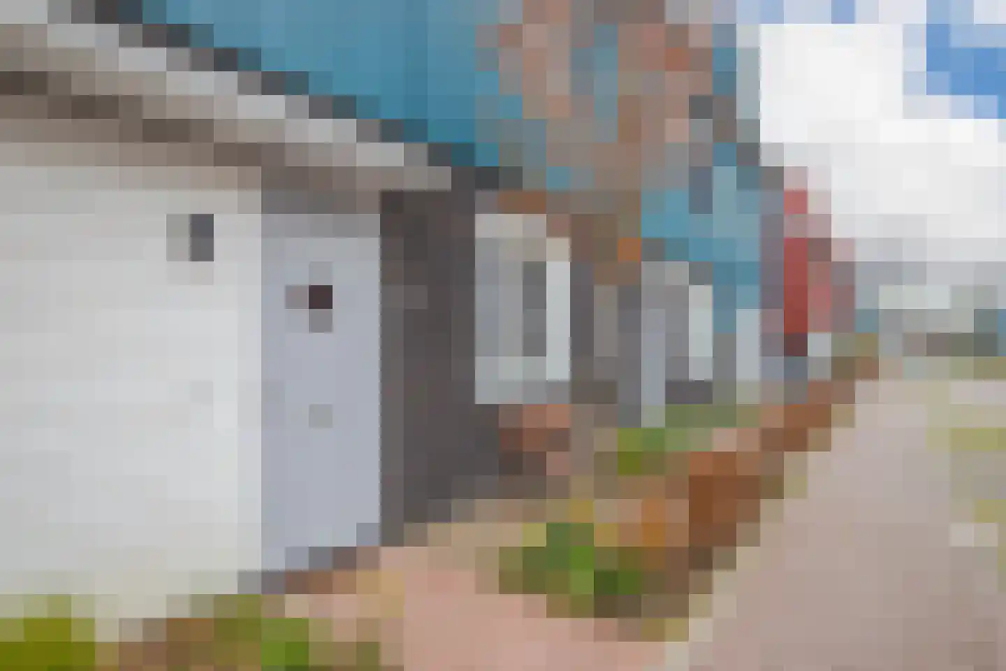 Buran 5 Arnhem thumbnail 5