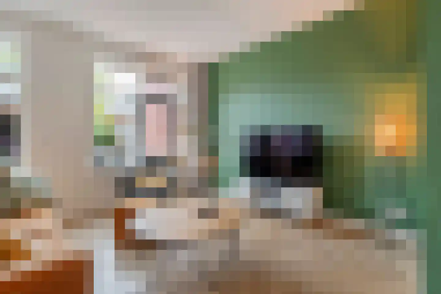 Burcht 10 Rijssen thumbnail 13
