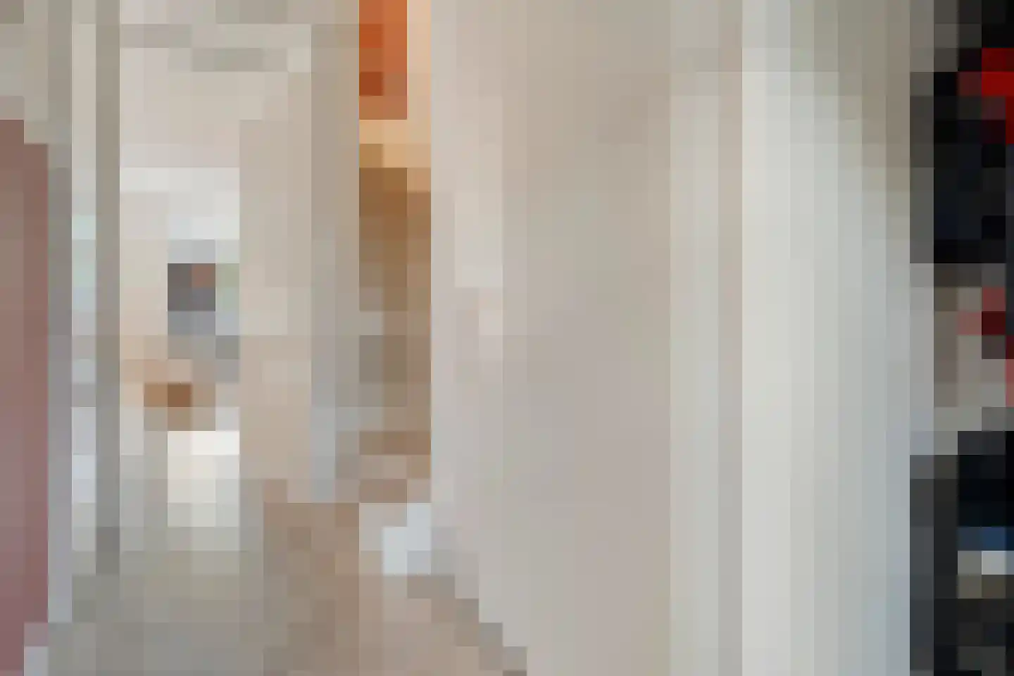 Burcht 10 Rijssen thumbnail 20