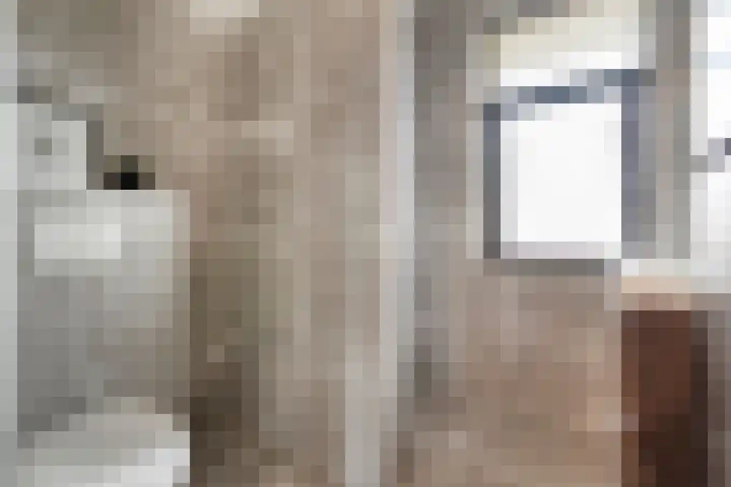 Burcht 10 Rijssen thumbnail 27