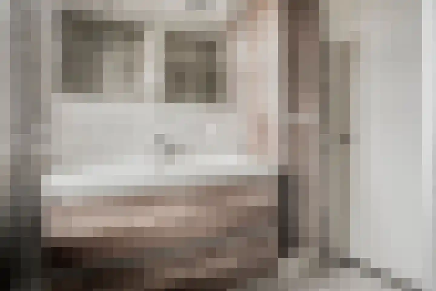 Burcht 10 Rijssen thumbnail 29