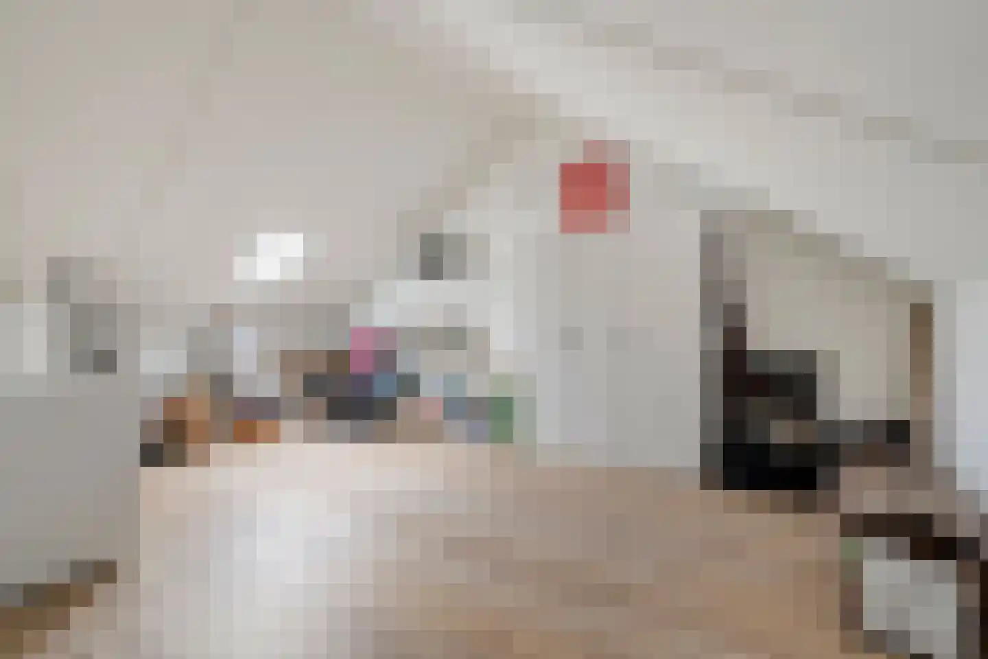 Burcht 10 Rijssen thumbnail 32