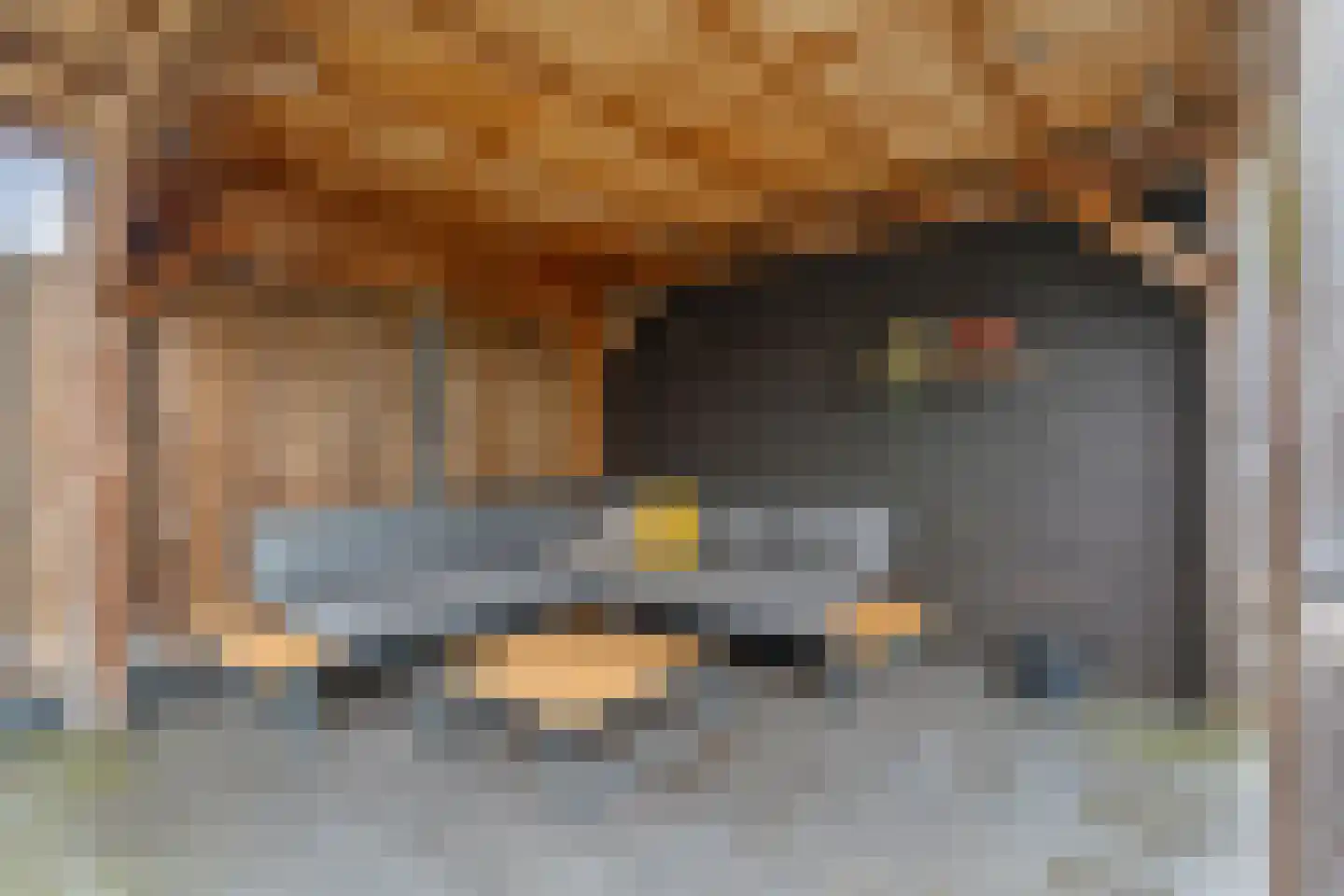 Burcht 10 Rijssen thumbnail 36