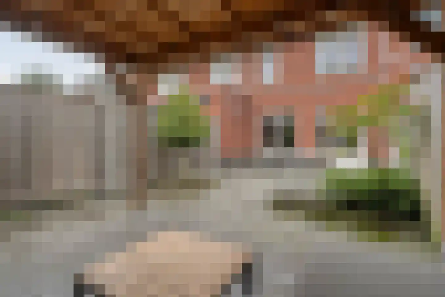 Burcht 10 Rijssen thumbnail 37