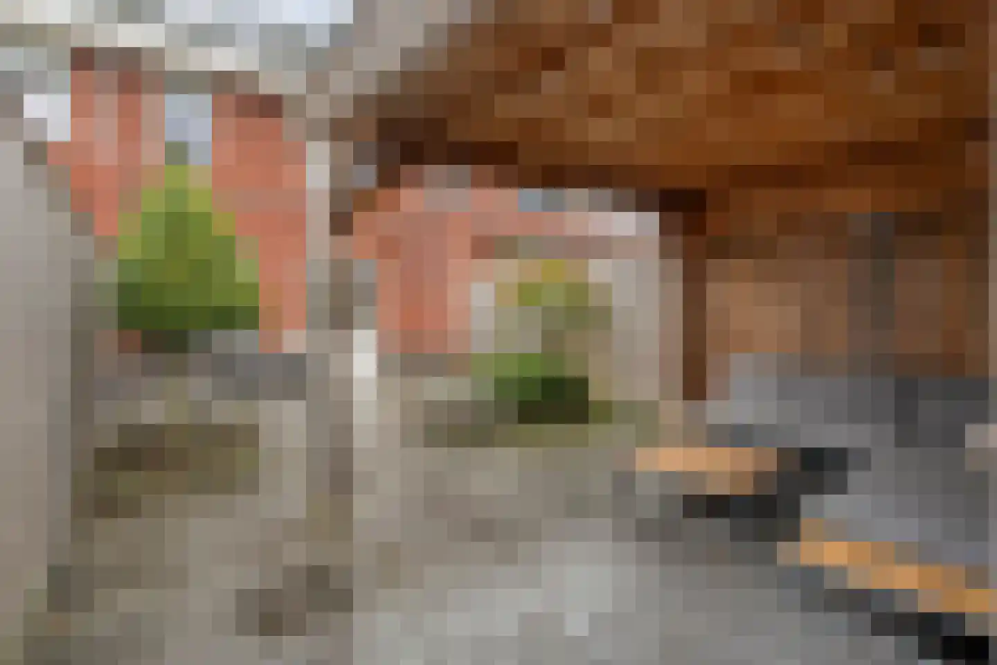 Burcht 10 Rijssen thumbnail 38