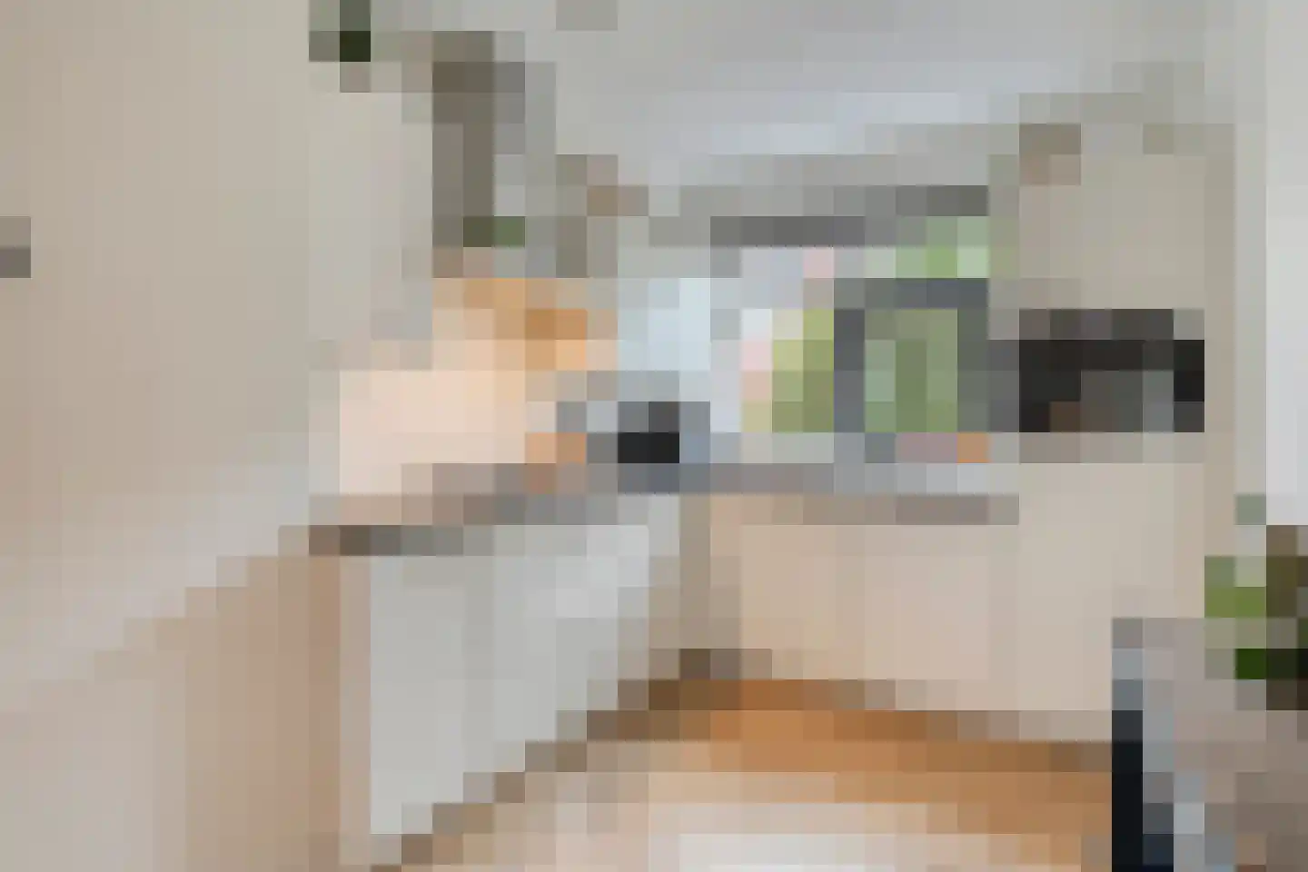 Burcht 10 Rijssen thumbnail 5