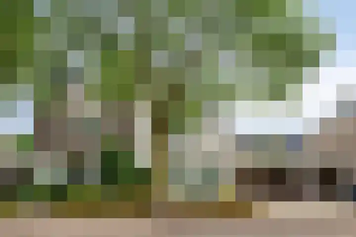 Burcht 18 Veldhoven thumbnail 32