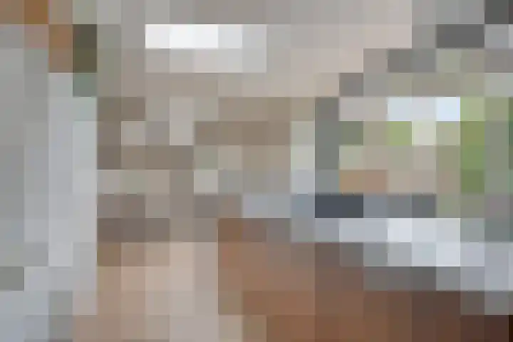 Burcht 18 Veldhoven thumbnail 7