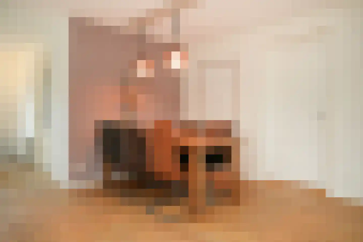 Burcht 2 Dreumel thumbnail 13