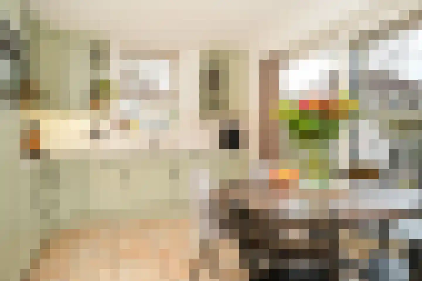 Burcht 2 Dreumel thumbnail 14