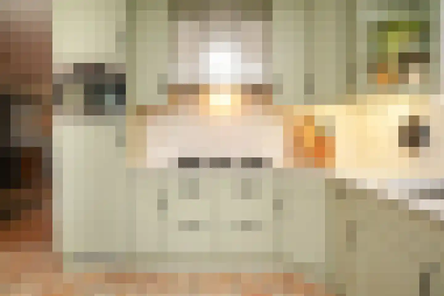 Burcht 2 Dreumel thumbnail 17