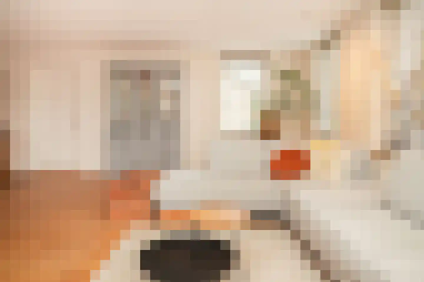 Burcht 2 Dreumel thumbnail 20