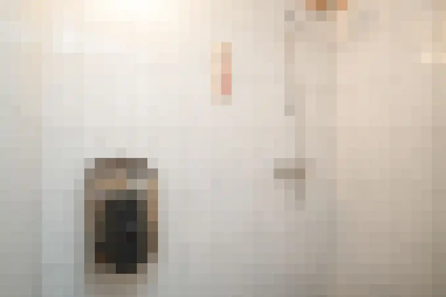 Burcht 2 Dreumel thumbnail 23