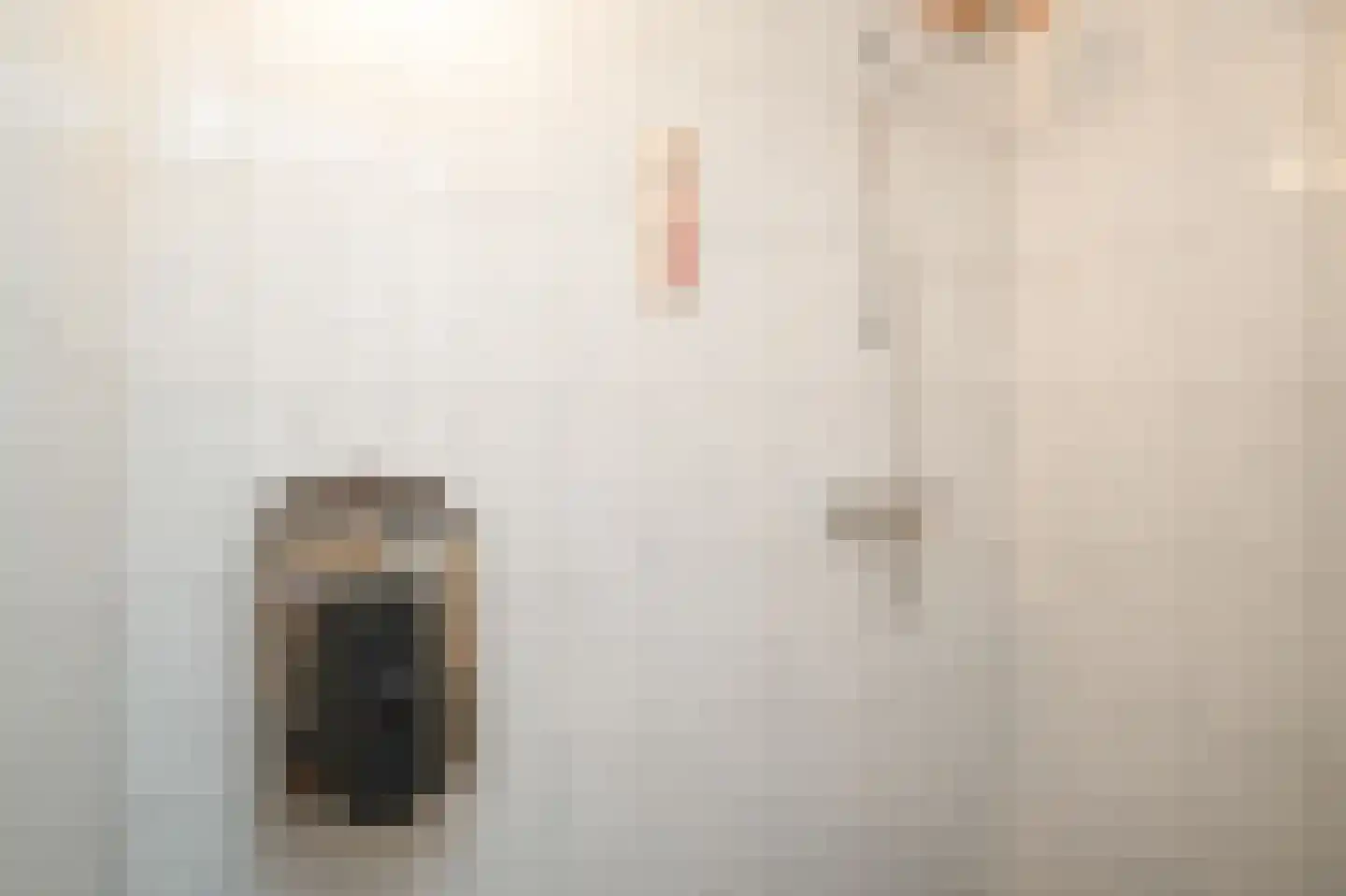 Burcht 2 Dreumel thumbnail 23