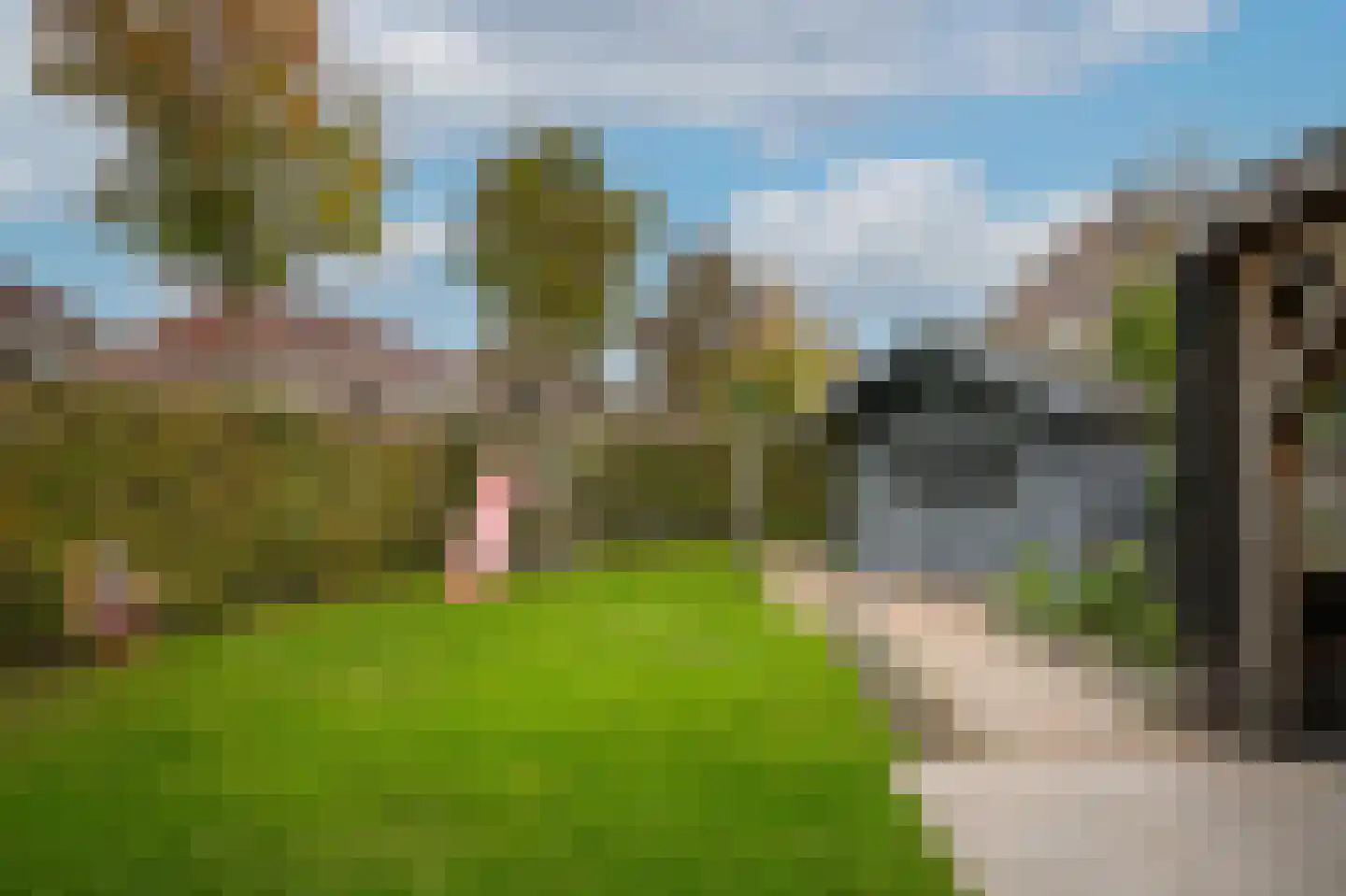 Burcht 2 Dreumel thumbnail 4