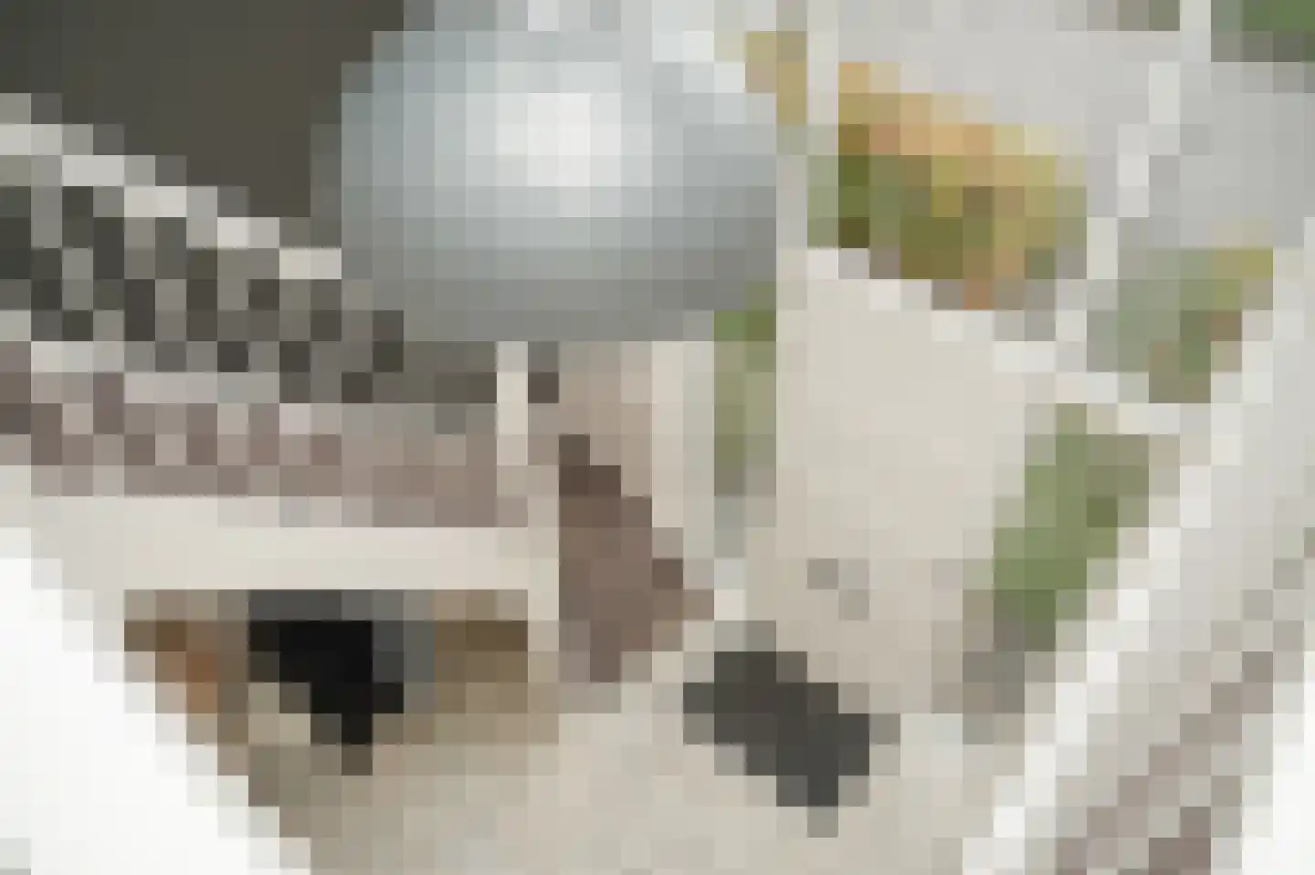 Burcht 2 Dreumel thumbnail 41