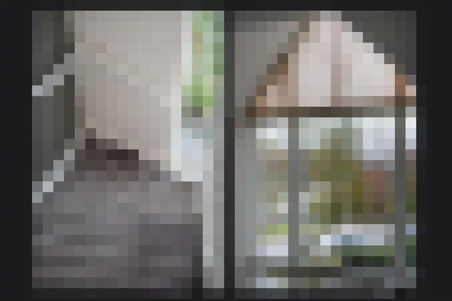 Burcht 2 Dreumel thumbnail 42