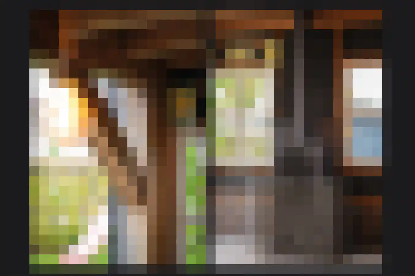 Burcht 2 Dreumel thumbnail 49