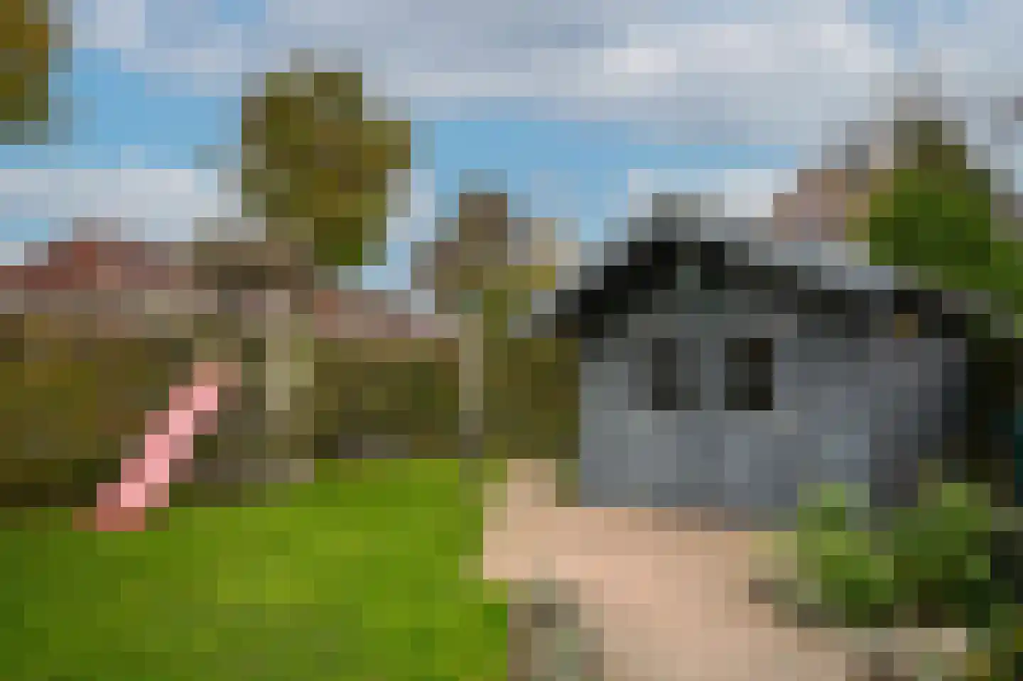 Burcht 2 Dreumel thumbnail 50