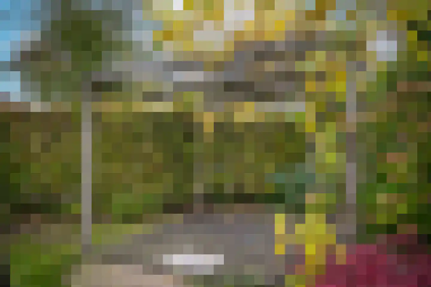 Burcht 2 Dreumel thumbnail 51