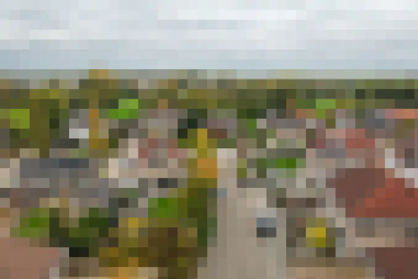 Burcht 2 Dreumel thumbnail 55