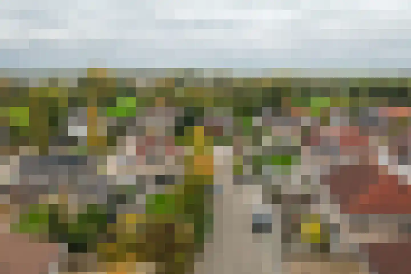 Burcht 2 Dreumel thumbnail 55
