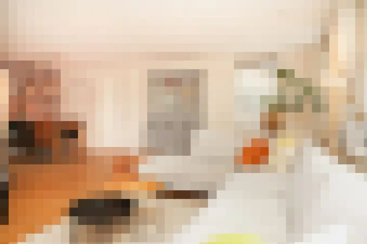 Burcht 2 Dreumel thumbnail 8