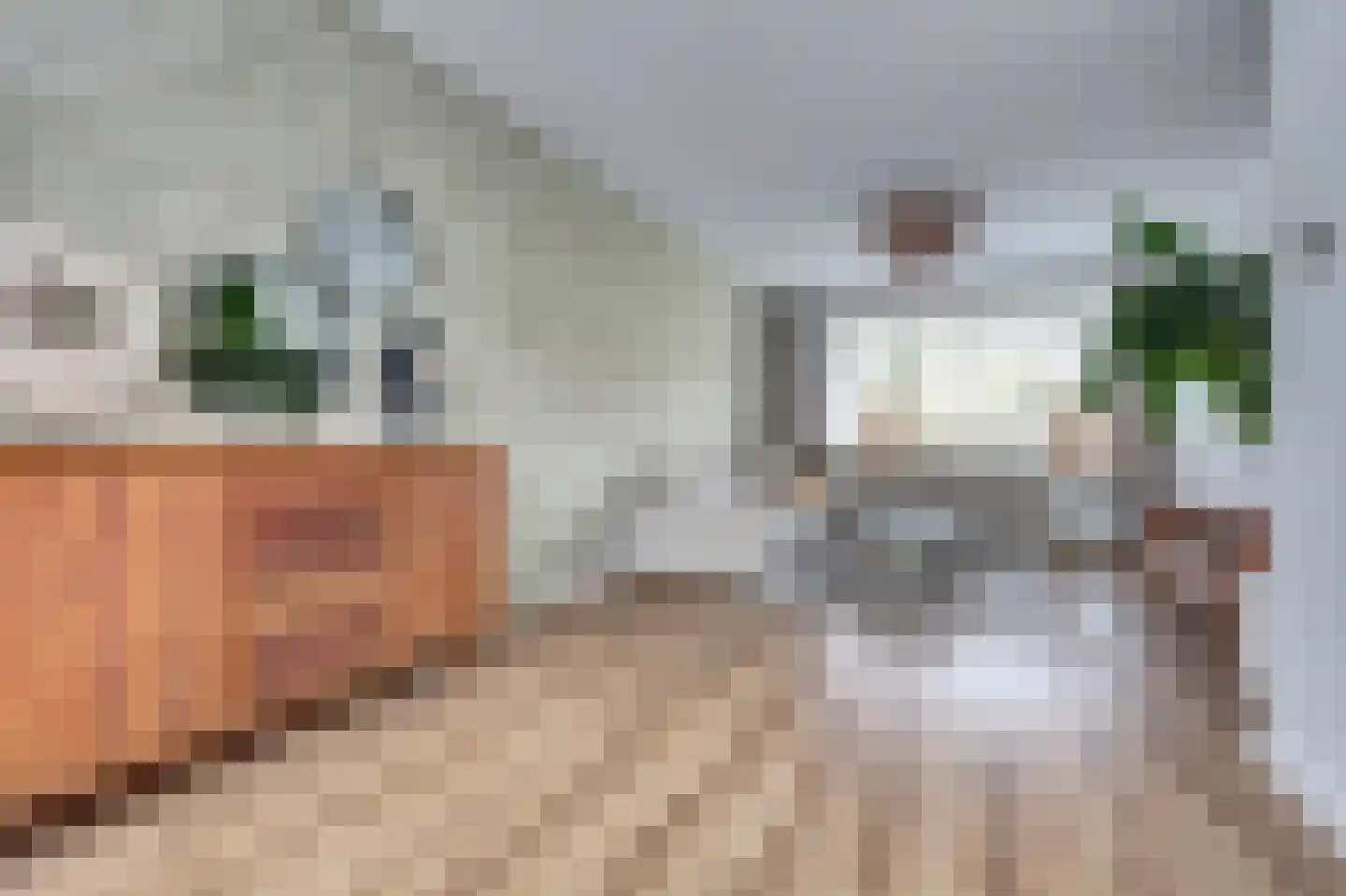 Burcht 25 Almelo thumbnail 10