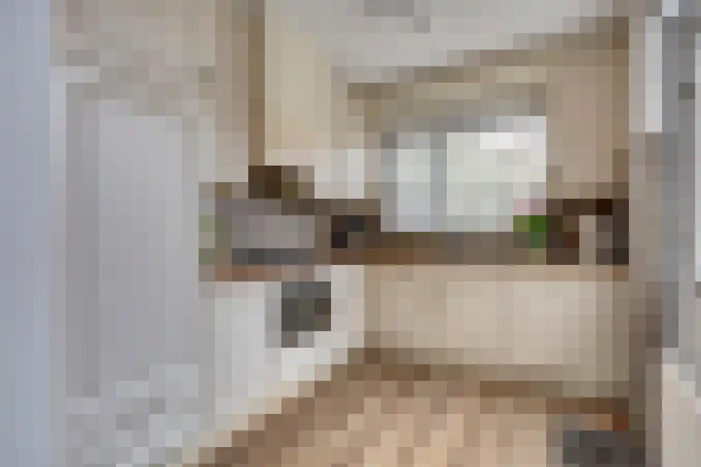 Burcht 25 Almelo thumbnail 15