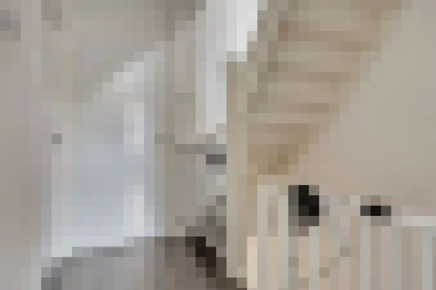 Burcht 25 Almelo thumbnail 18