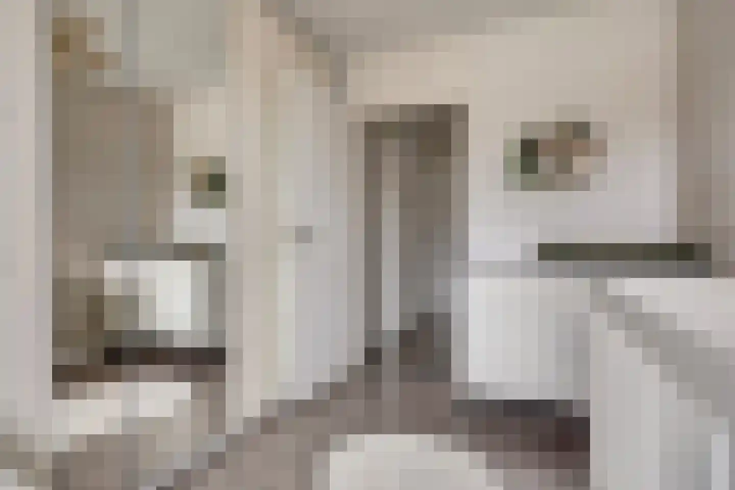 Burcht 25 Almelo thumbnail 23