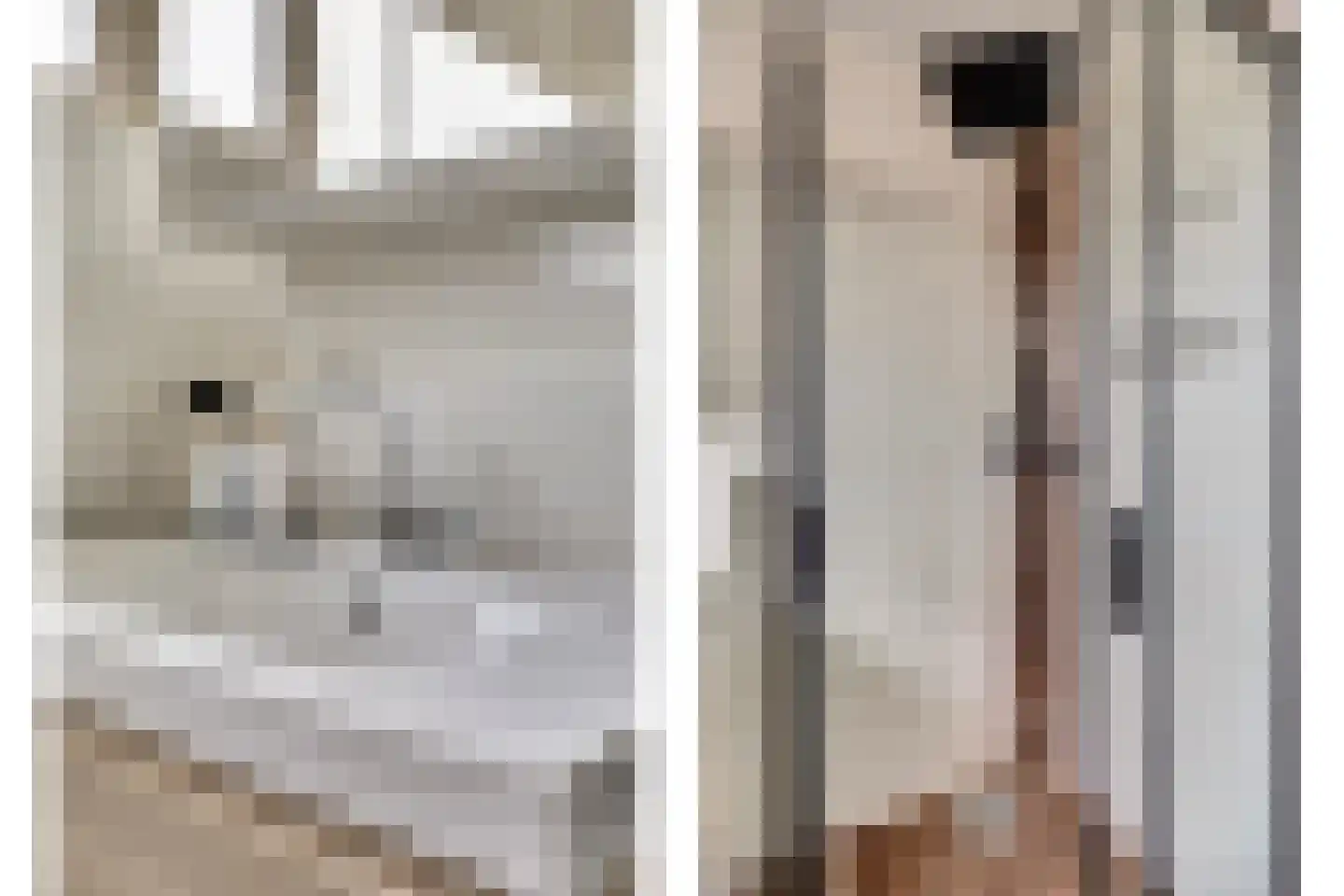 Burcht 25 Almelo thumbnail 30