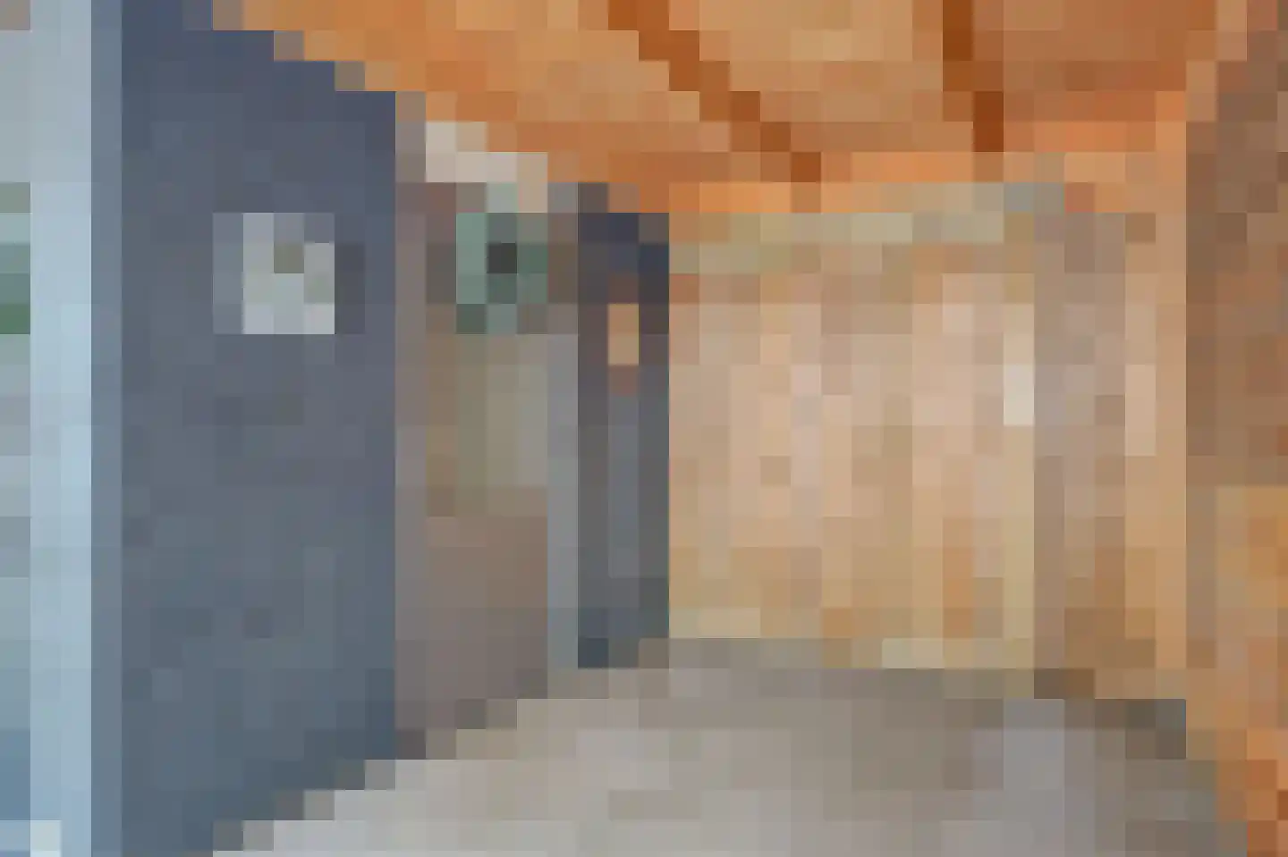 Burcht 25 Almelo thumbnail 35