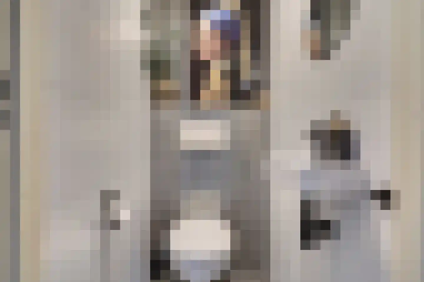 Burcht 25 Almelo thumbnail 6