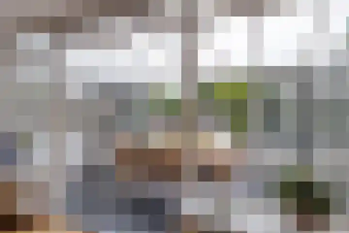 Burcht 25 Veldhoven thumbnail 14