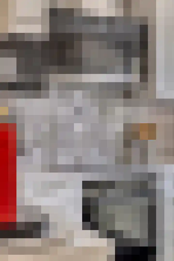 Burcht 25 Veldhoven thumbnail 21