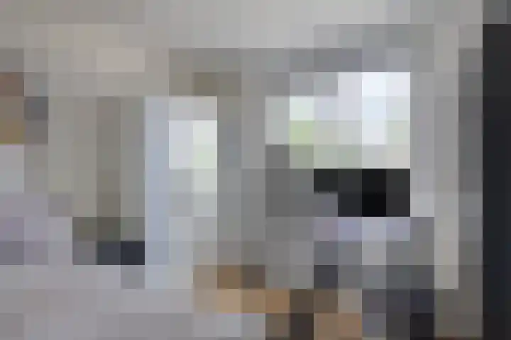 Burcht 25 Veldhoven thumbnail 31