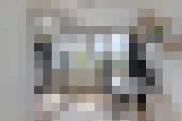Burcht 25 Veldhoven thumbnail 32