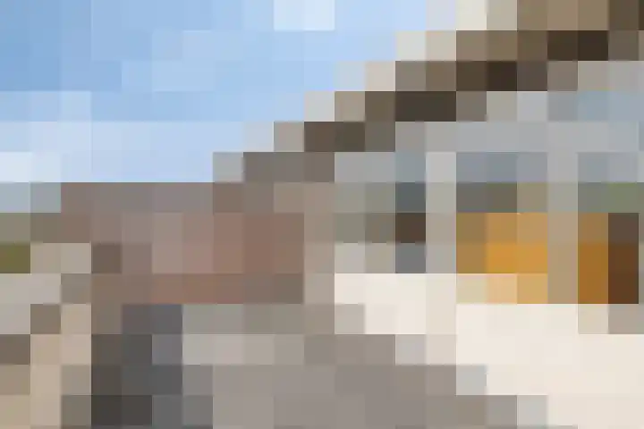 Burcht 25 Veldhoven thumbnail 38