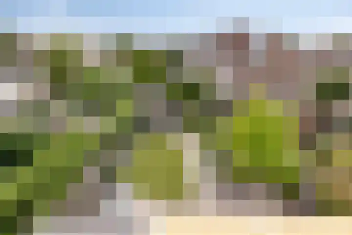Burcht 25 Veldhoven thumbnail 39