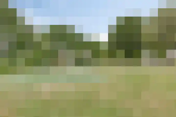 Burcht 25 Veldhoven thumbnail 43